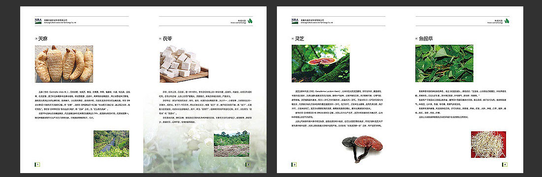安徽农业画册_农润科技企业宣传册-4