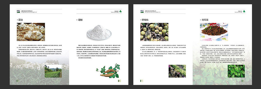 安徽农业画册_农润科技企业宣传册-5